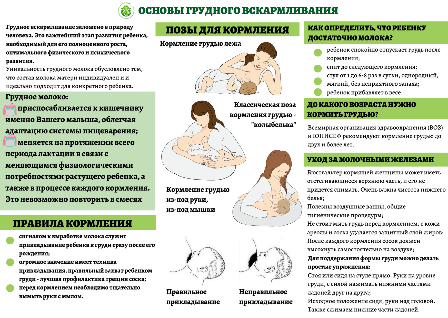 Грудное вскармливание: ошибки, которых следует избегать. Осложнения и пути их преодоления.